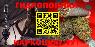 MDMA Premium VHQ Гай