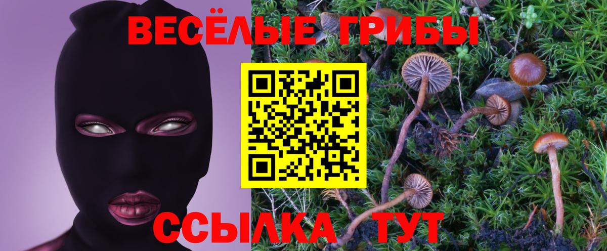 Псилоцибиновые грибы Cubensis Кушва