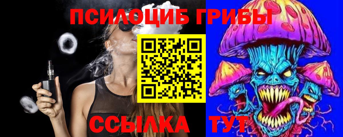 Псилоцибиновые грибы Psilocybe  Вход с VPN  Кушва 